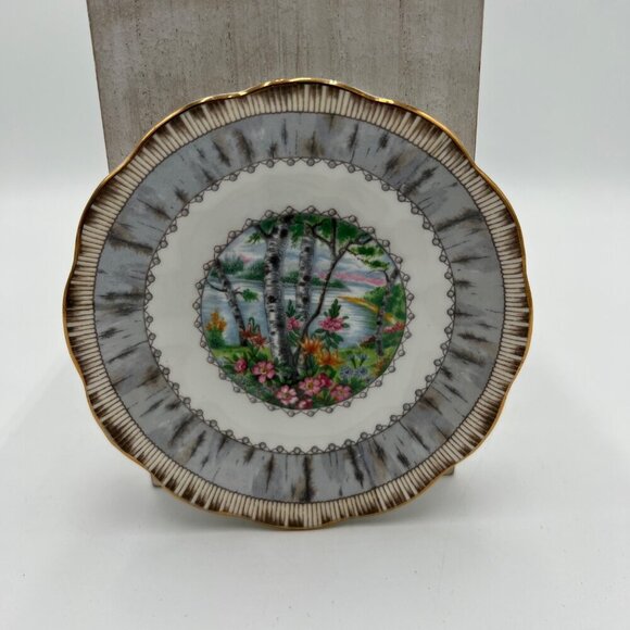 Royal Albert Silver Birch. Vintage saucer replacement - Picture 1 of 4